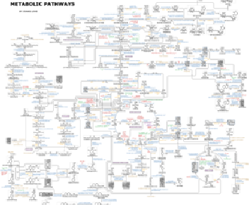 mpathways.jpg